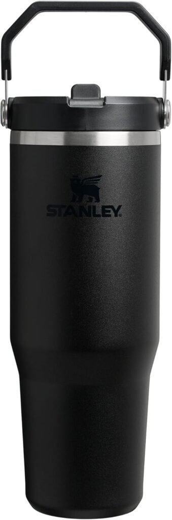 Stanley IceFlow 2.0 Flip Straw Tumbler 30 oz insulated stainless steel water bottle